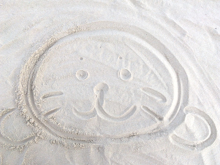 砂浜に描いたゴマちゃんの絵