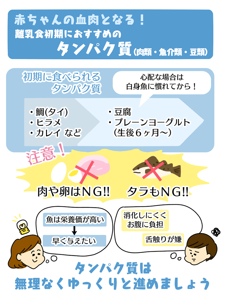 離乳食初期におすすめのタンパク質の図解