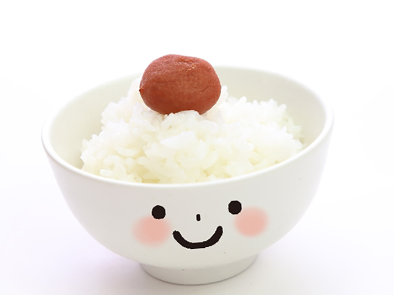 梅干しが乗ってるご飯