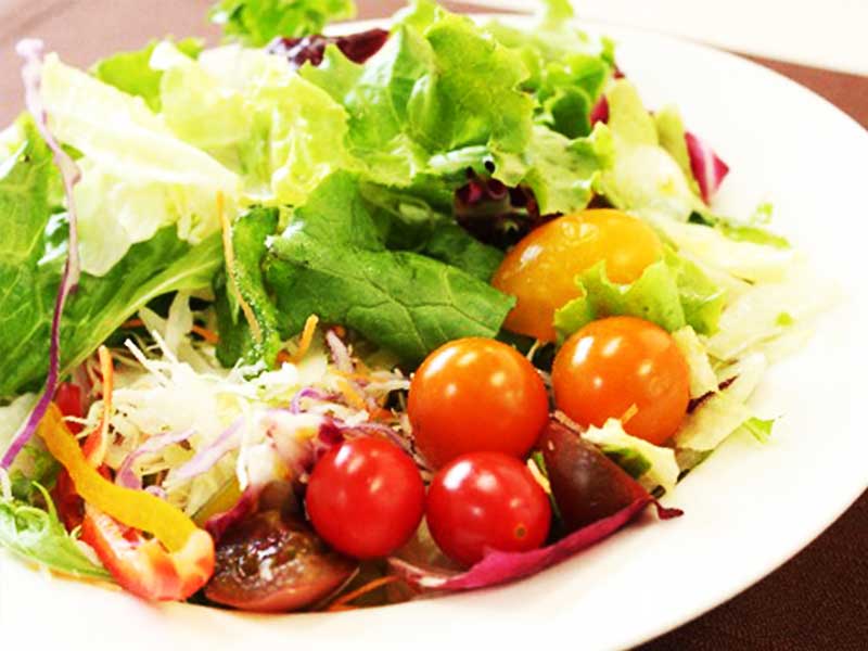 トマトとレタスの野菜サラダ
