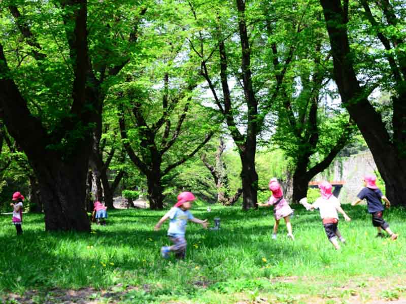 公園で元気に遊ぶ幼稚園の子供たち